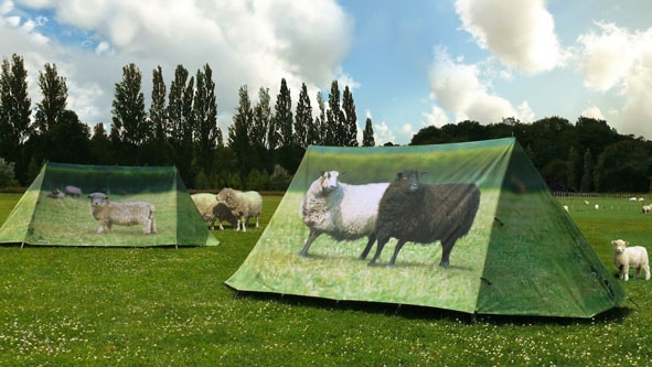 Textildruck digital: Zelt von Fieldcandy