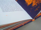 Orange, neonfarben, kombiniert mit Nachtblau, beides Sonderfarben, dominieren bei Edgar Allan Poes „Unheimliche Geschichten“, illustriert von Kat Menschik (Galiani bei Kiepenheuer & Witsch). 