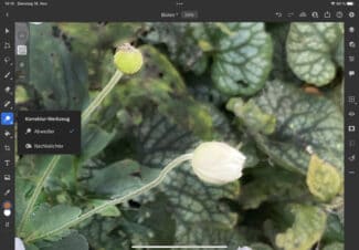 Adobe Creative Cloud 2022, Abwedler, Photoshop fürs iPad