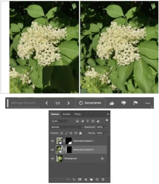 Testbild Adobe Photoshop Beta mit generativer Füllung